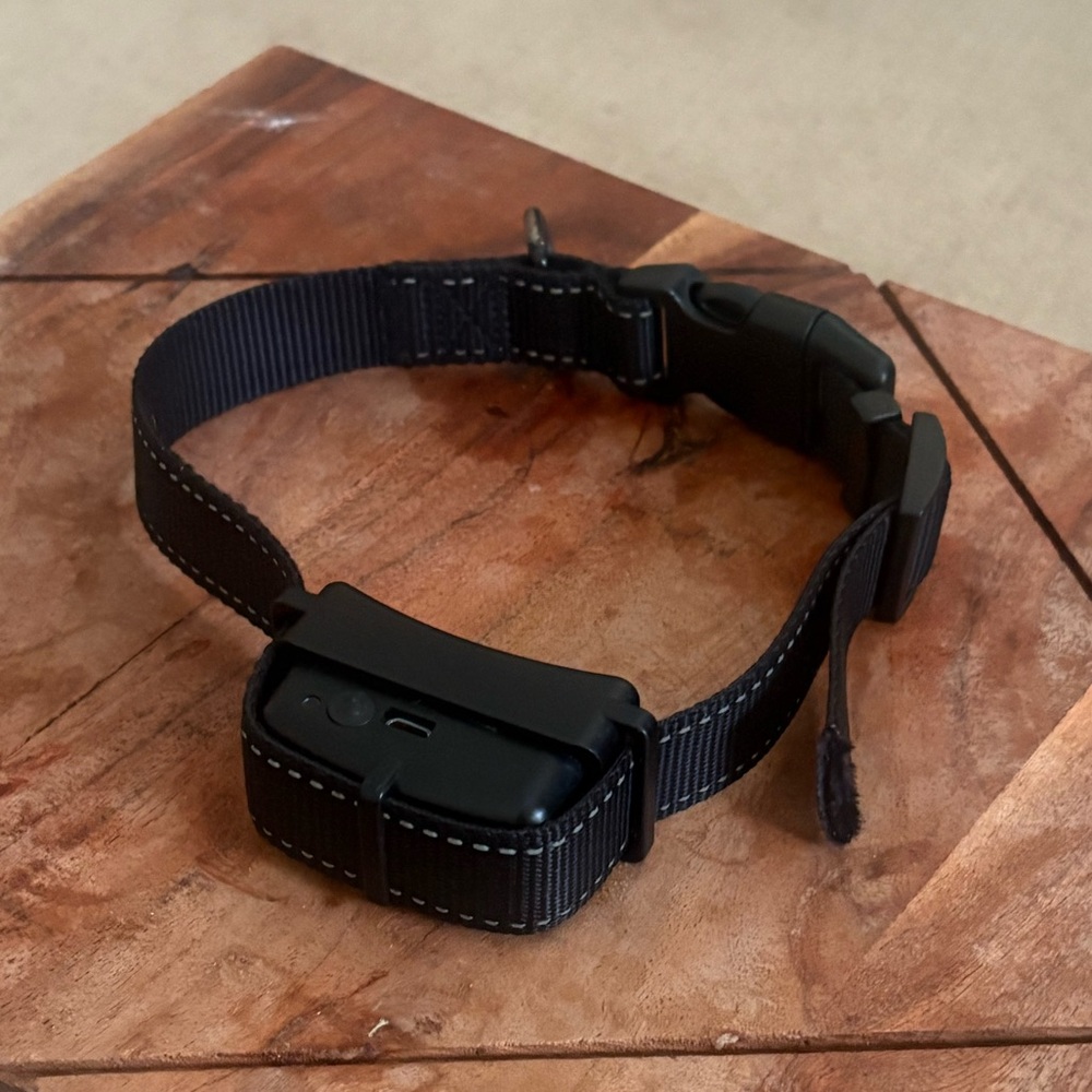 Bravowalk Dog Collar - Large